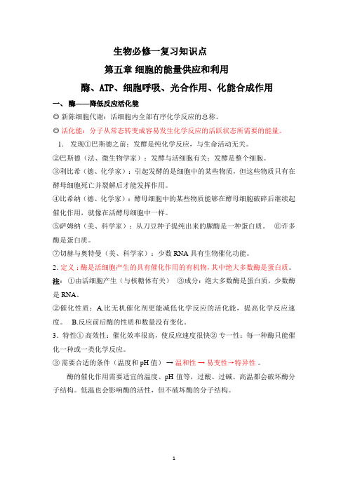 高一生物人教版必修一期末复习  第五章  细胞的能量供应和利用知识归纳