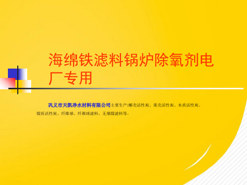 2022海绵铁滤料锅炉除氧剂电厂专用优秀ppt