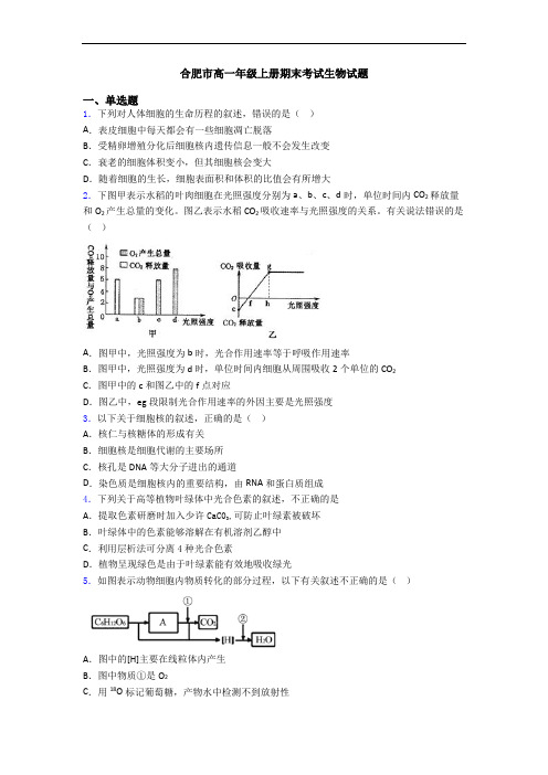 合肥市高一年级上册期末考试生物试题