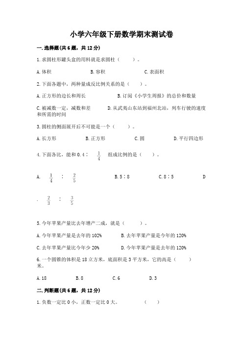 小学六年级下册数学期末测试卷及参考答案(能力提升)