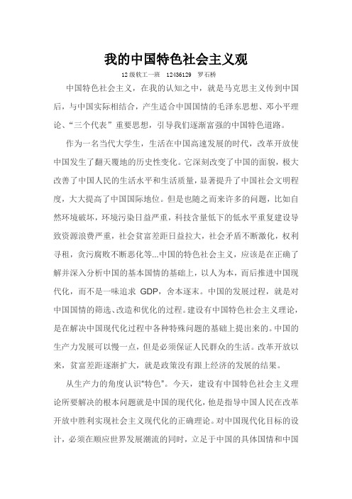 我的中国特色社会主义观