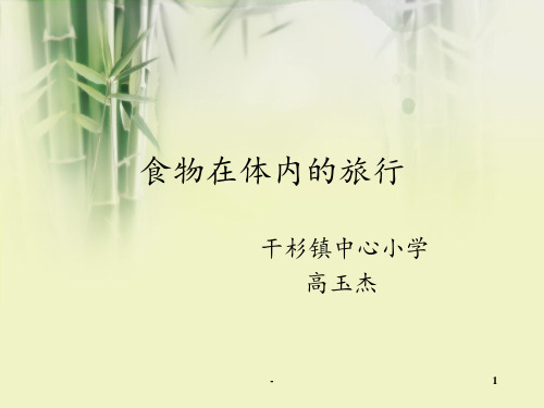 食物在体内的旅行说稿PPT课件