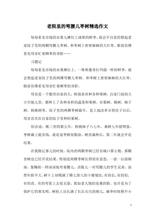 老院里的弯腰儿枣树精选作文