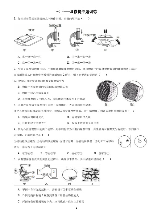 七上科学-显微镜专题训练(1)