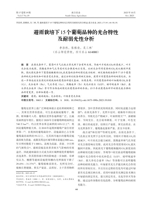 避雨栽培下15个葡萄品种的光合特性及耐弱光性分析