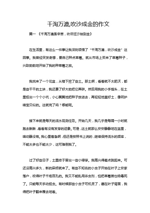 千淘万漉,吹沙成金的作文