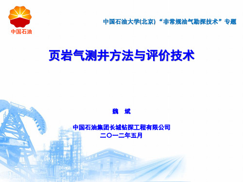 页岩气测井方法与评价技术-魏斌