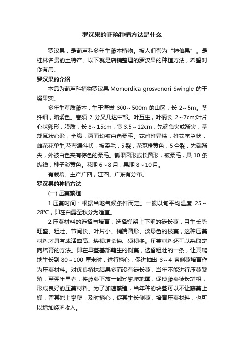 罗汉果的正确种植方法是什么