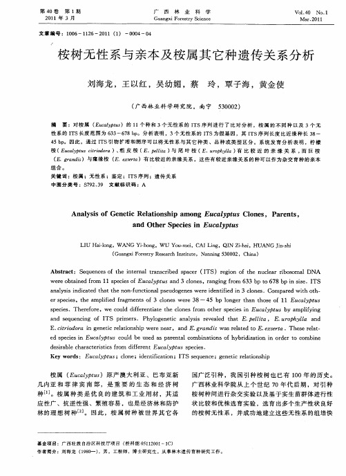 桉树无性系与亲本及桉属其它种遗传关系分析