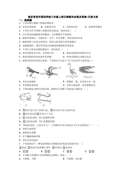 南京育英外国语学校八年级上册生物期末试卷及答案-百度文库