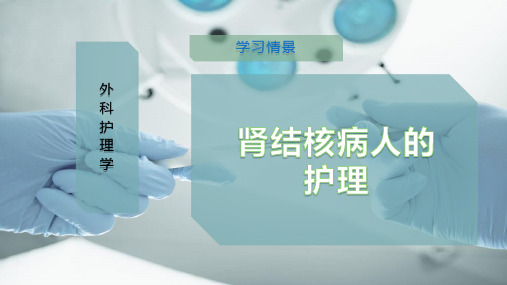 肾结核病人的护理