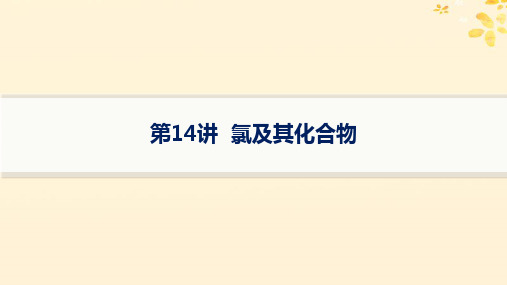 2025届高考化学一轮总复习第4章非金属及其化合物第14讲氯及其化合物