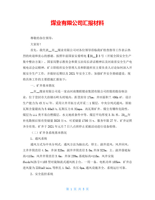 煤业有限公司汇报材料