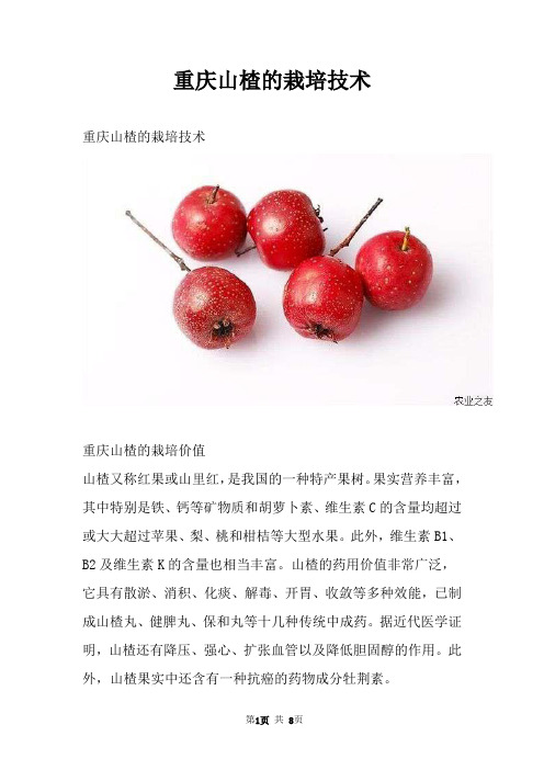 重庆山楂的栽培技术