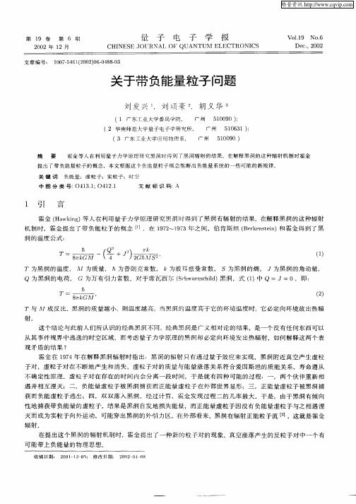 关于带负能量粒子问题