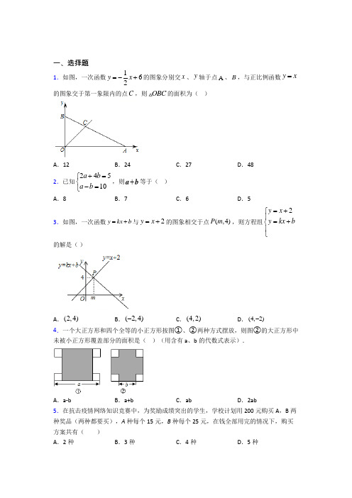 (必考题)初中数学八年级数学上册第五单元《二元一次方程组》测试(答案解析)(1)