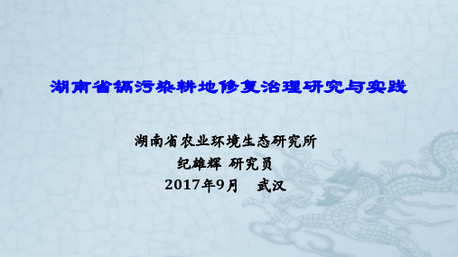 1-3  纪熊辉--湖南省镉污染耕地修复治理研究与实践