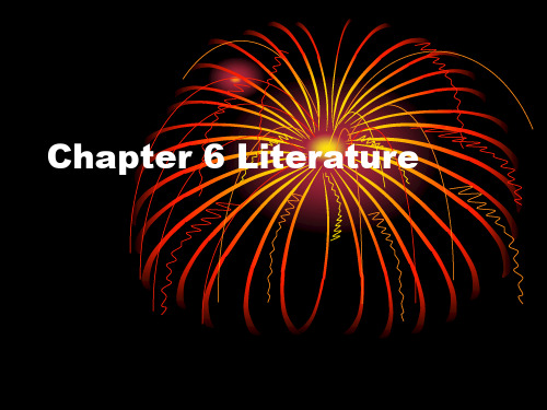 Chapter 6 Literature