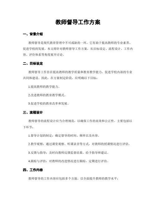 教师督导工作方案