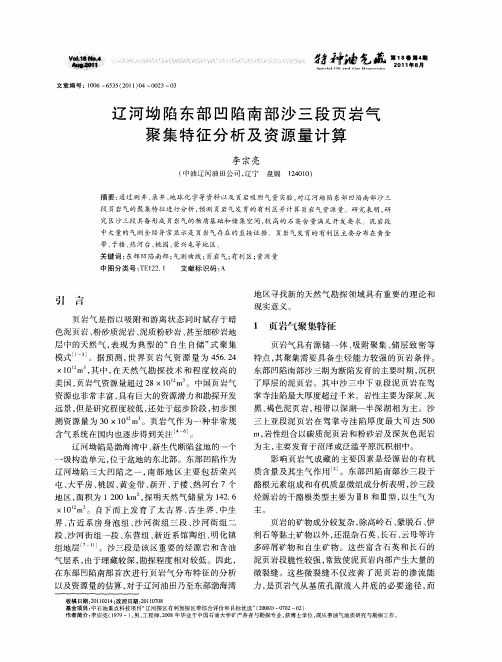 辽河坳陷东部凹陷南部沙三段页岩气聚集特征分析及资源量计算