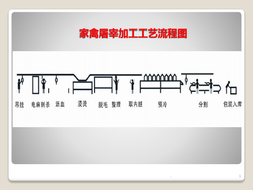 肉鸡屠宰加工流程PPT课件