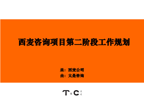某咨询项目第二阶段工作规划.pptx
