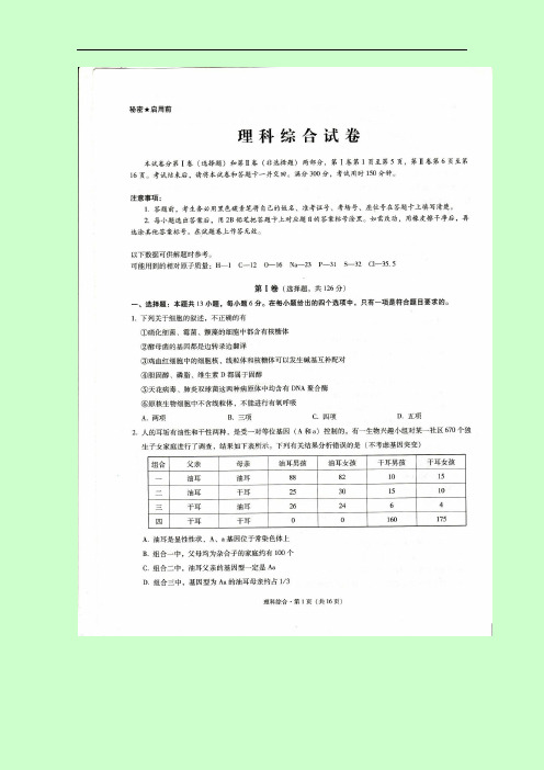 贵州省凯里市第一中学2017届高三下学期高考适应性月考