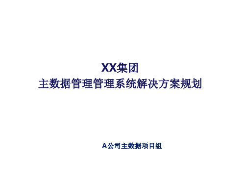 XX集团主数据管理系统解决方案ppt课件