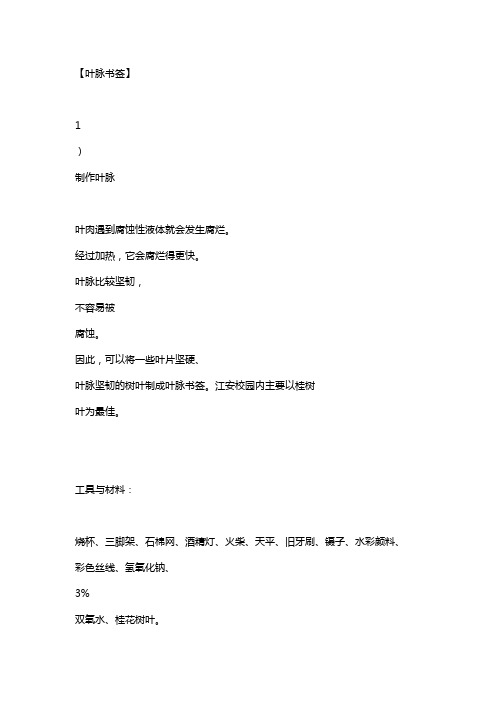 叶脉书签