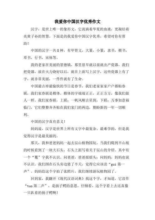 我爱你中国汉字优秀作文