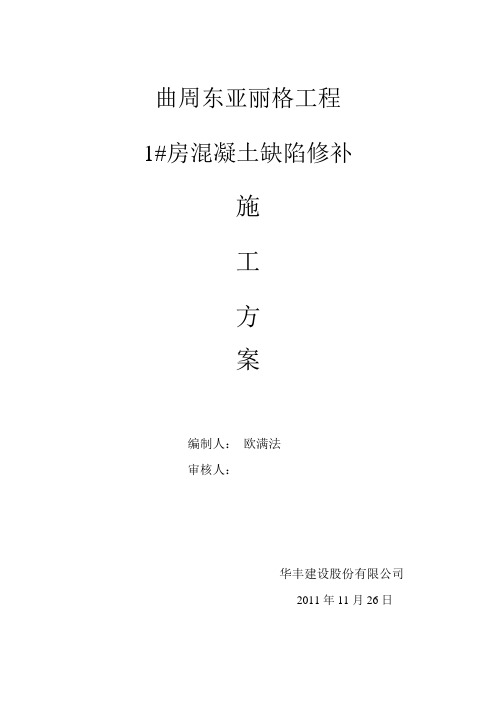砼表面缺陷修补方案1