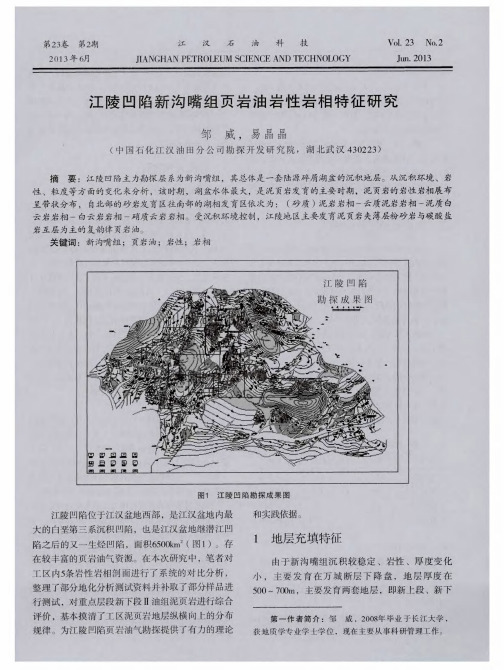 江陵凹陷新沟嘴组页岩油岩性岩相特征研究