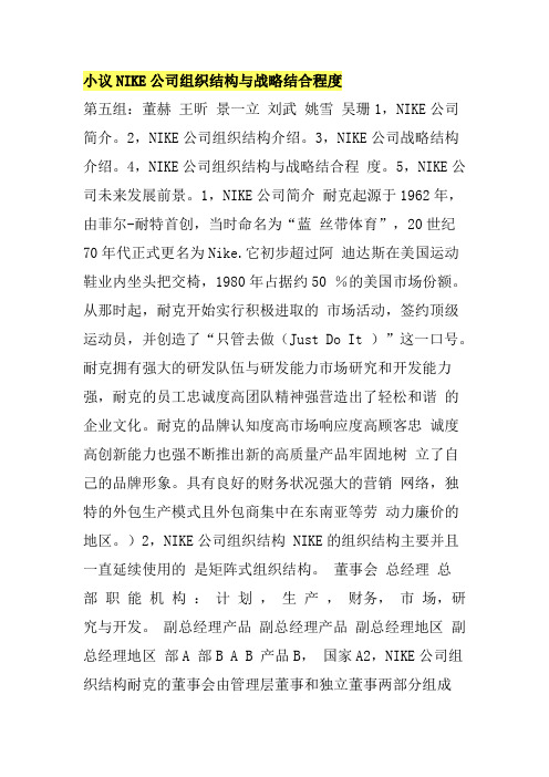 小议NIKE公司组织结构与战略结合程度