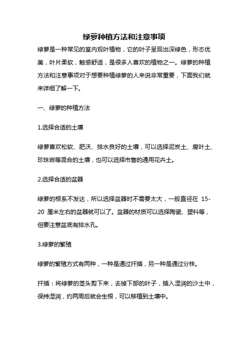 绿萝种植方法和注意事项