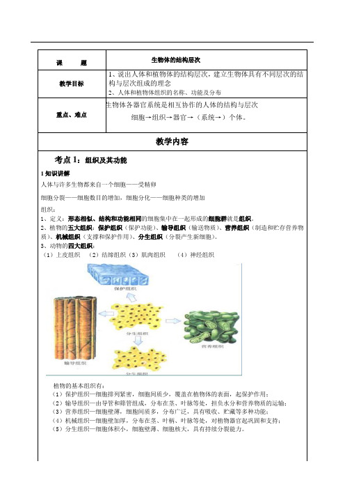 生物体的结构层次