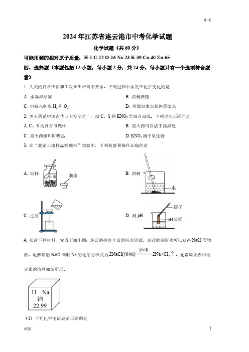 2024年江苏省连云港市中考化学真题卷及答案解析