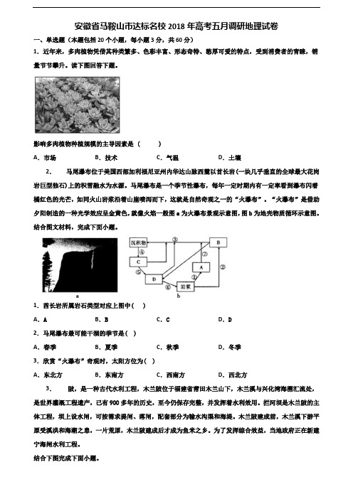 安徽省马鞍山市达标名校2018年高考五月调研地理试卷含解析