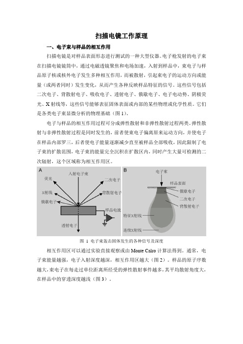 扫描电镜工作原理电子束与样品的相互作用扫描电镜是对样品