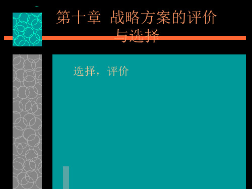 企业战略管理10战略方案评价与选择