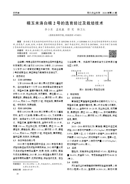 糯玉米洛白糯2号的选育经过及栽培技术