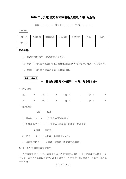 2020年小升初语文考试试卷新人教版B卷 附解析