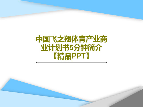 中国飞之翔体育产业商业计划书5分钟简介【精品PPT】共18页文档