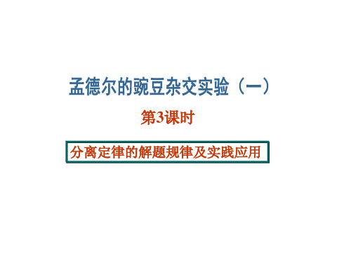 分离定律的解题规律及实践应用