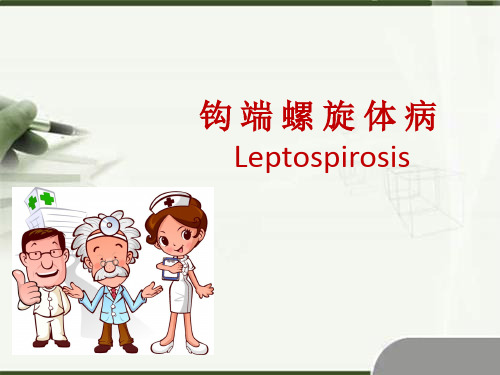 钩体病讲课PPT