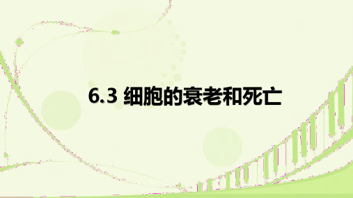 细胞的衰老和死亡ppt课件