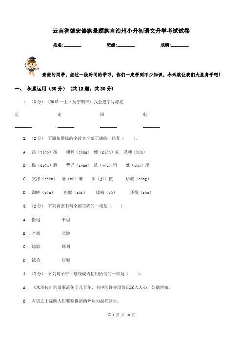 云南省德宏傣族景颇族自治州小升初语文升学考试试卷