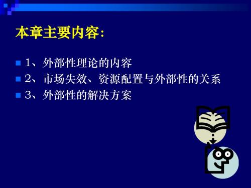 环境经济学外部性理论