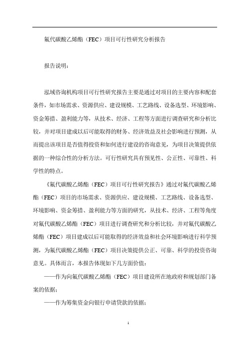 氟代碳酸乙烯酯(FEC)项目可行性研究分析报告