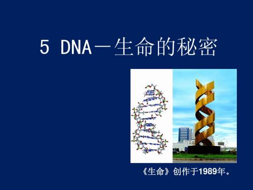 00-05DNA-生命的秘密-net_962201976