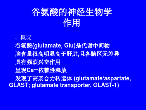 谷氨酸及受体的神经生物学作用